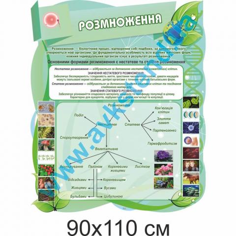 Стенд "Розмноження" Стенд "Розмноження"