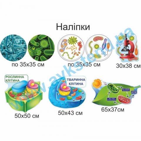 Наліпки на стіну у кабінет біології Наліпки на стіну у кабінет біології